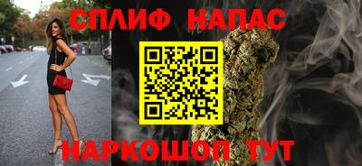 spice Моздок