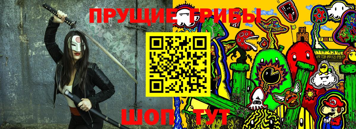 Псилоцибиновые грибы Psilocybe Солнечногорск